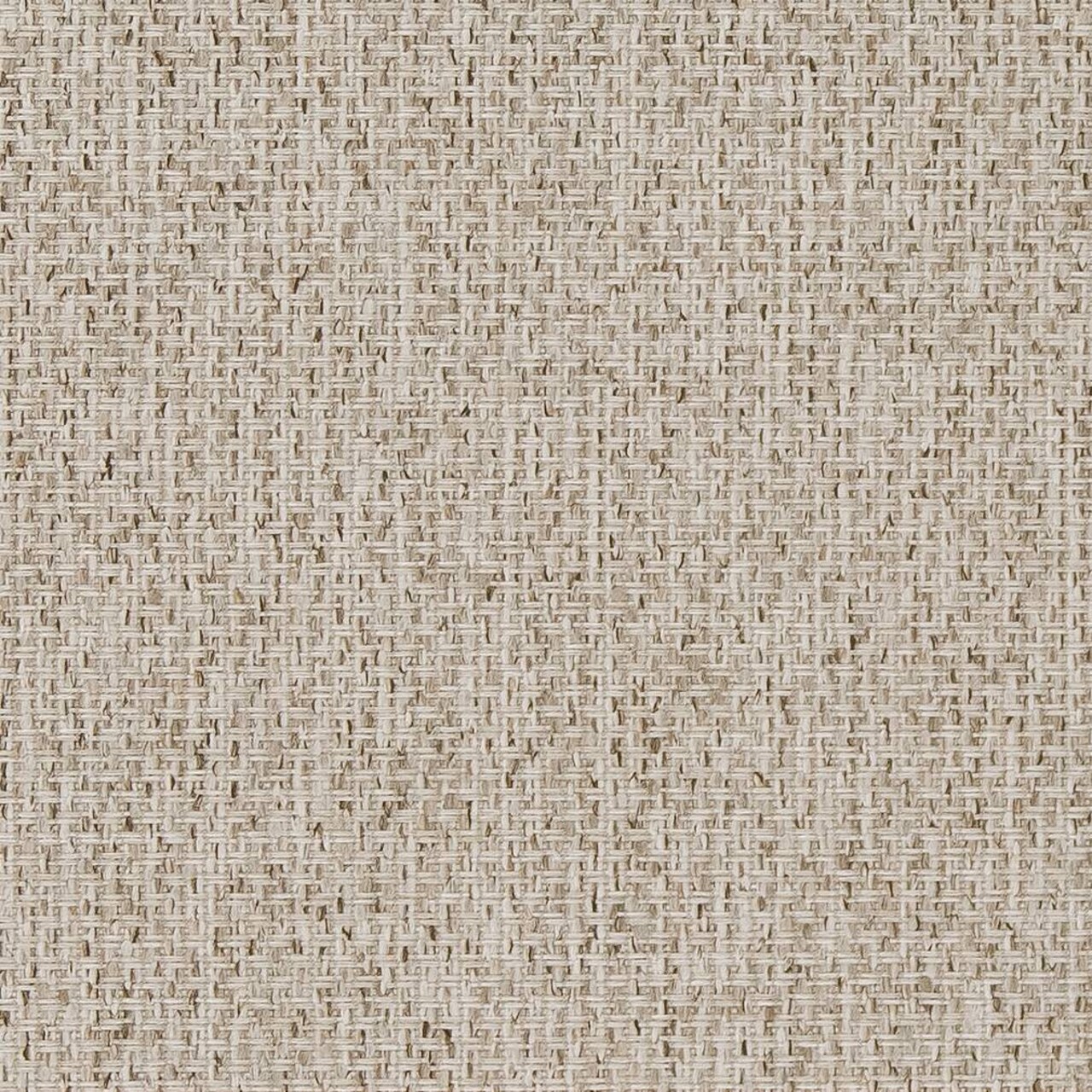 Birch - Beige & Taupe Plain & Solid Upholstery Fabric 54 Inches"